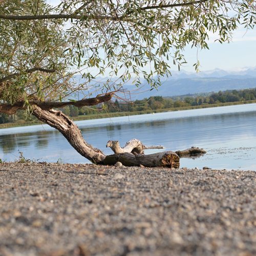 Landschaft 2026 – bombasei.photos